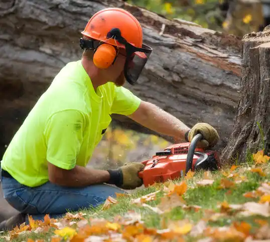 tree services Fort Calhoun